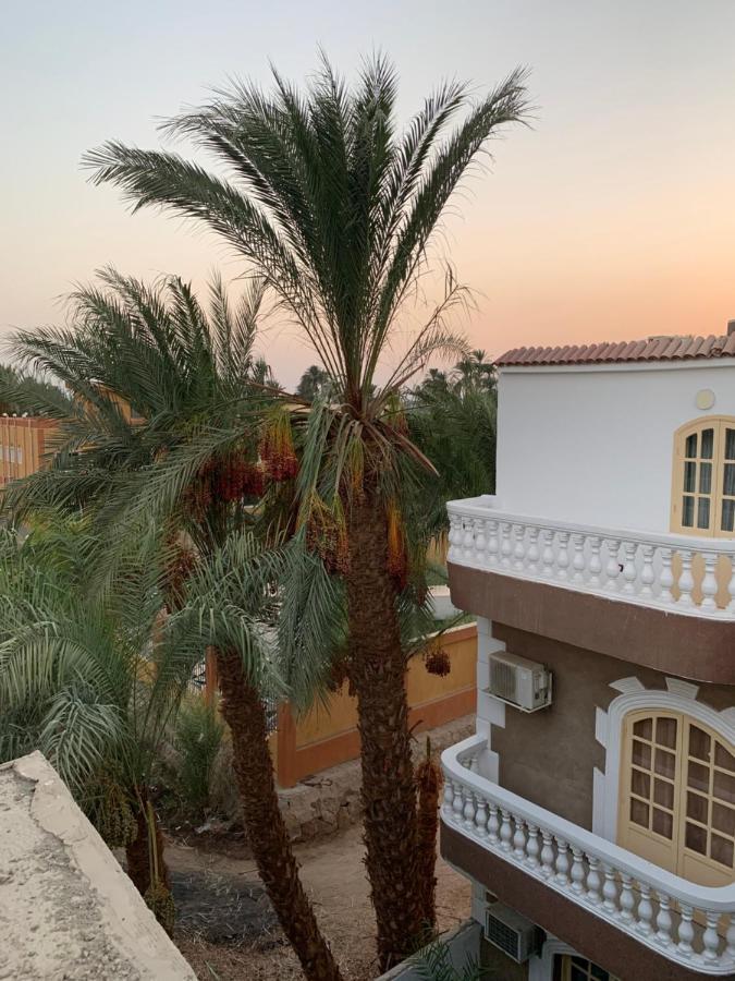 Moon House Of Luxor Apartman Kültér fotó
